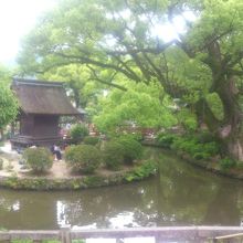 写生をしている中学生がたくさんいました