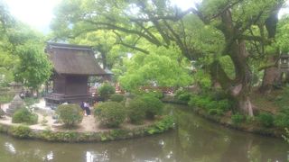 心字池にあります