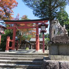 結構大きな神社でした