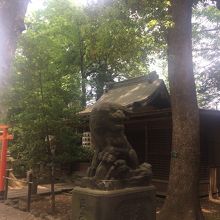 狛犬さん