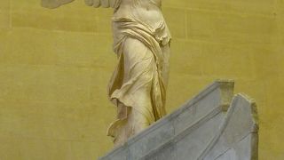 ７時間半にて、全館、駆け巡りました。