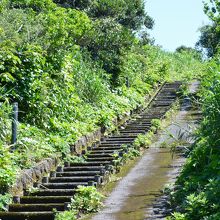 こんな階段を登り5分ぐらい