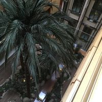 この庭を囲んで部屋があります。