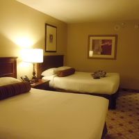 部屋にはあまりいないので、これくらいで十分