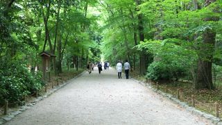 馬車も通る表参道
