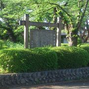 駅からも歩いて行ける緑豊かな公園