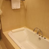 大きめのバスタブ。湯量もあり、あまり待たずに溜まります。