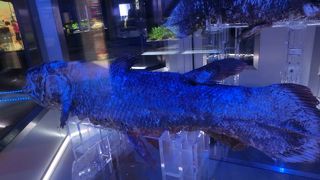 ユニークな生き物が多く面白い