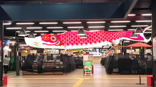 オンシーズンは冬季