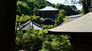 階段の多く歩きやすいコース