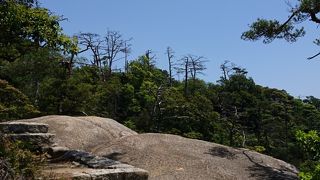 弥山登山道 大元コ－ス