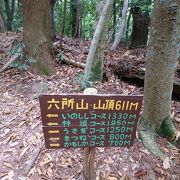 六所山頂上からの見晴らしはききません