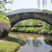 西寒多神社ふじまつり