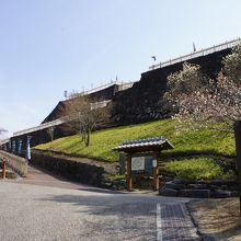 緩い上り坂が続きます