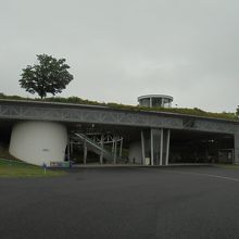 屋上が緑化された建物