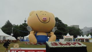 「まんパク」に行きました（国営昭和記念公園）