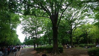 土休日はたくさんの人出