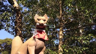 キツネがいっぱい