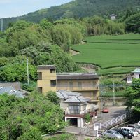 お茶畑と山々～