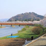 桜が満開の快晴の日を狙うべし