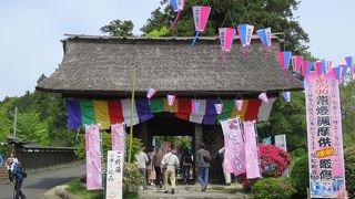 藁葺き屋根の山門
