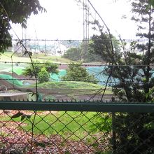 ゴルフ練習場内の墳墓