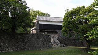 早く元の姿が見たいです。