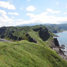 岬からの帰り道
