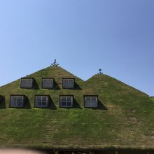 屋根の部分
