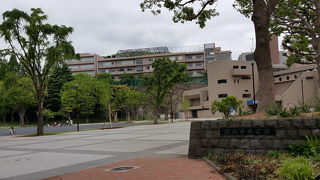 大きくて整備された公園です。