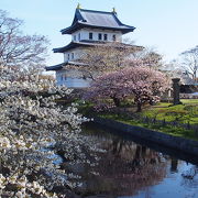 お城は小さいですが敷地が広大です。