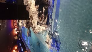 幼児たちには不評でした・・