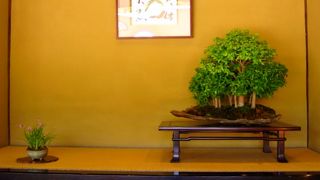 日本庭園の奥にあり