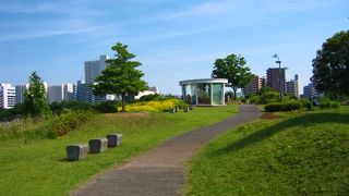 屋上が庭園の様