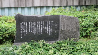 見つかりにくいです