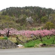 桃の花の季節に行くとよい．晴れてたら真正面に北岳　ついでに一宮町花見台も寄るとよい