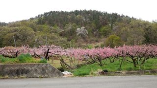 桃の花の季節に行くとよい．晴れてたら真正面に北岳　ついでに一宮町花見台も寄るとよい