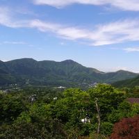 部屋からの眺め