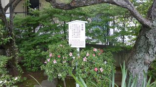 案内版が頼りです