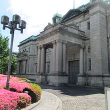 つつじが満開です