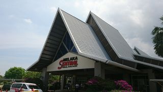 オランダ広場へのバスはドメスティック