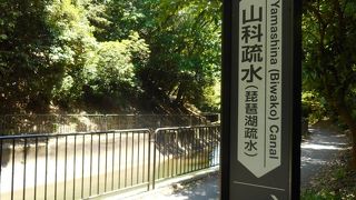 水辺の散歩道