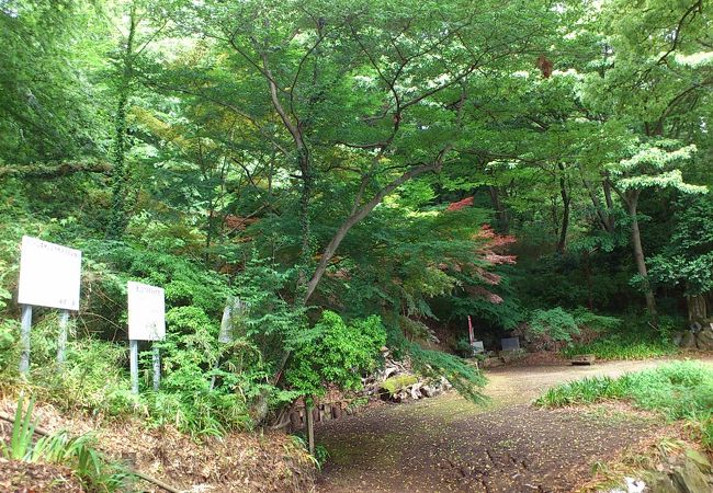 飯山白山森林公園 クチコミ アクセス 営業時間 厚木 フォートラベル