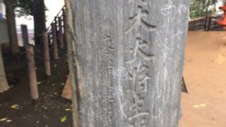 さくら公園の中