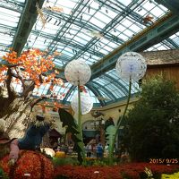 ベラッジオの中の植物園