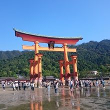 干潮時は大鳥居まで歩けます