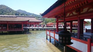 干潮と満潮どちらも見たほうがよいです