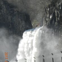 春ならではの迫力