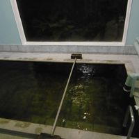 温泉が引かれた風呂