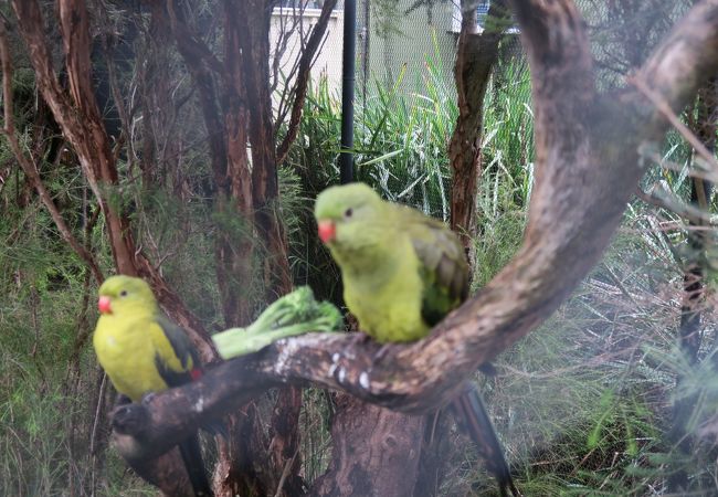 アデレード動物園